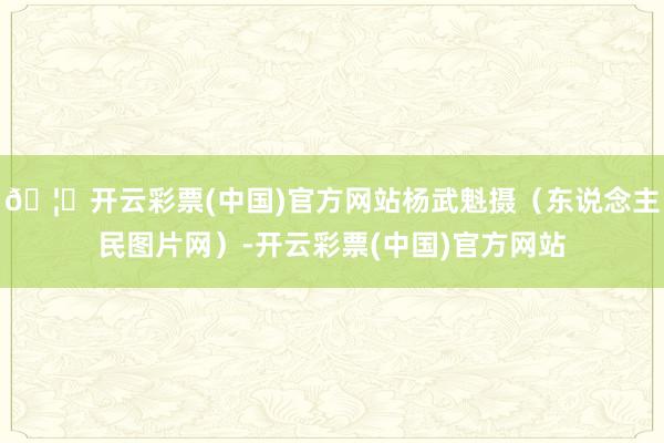 🦄开云彩票(中国)官方网站杨武魁摄（东说念主民图片网）-开云彩票(中国)官方网站