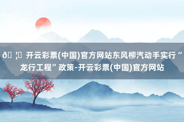 🦄开云彩票(中国)官方网站东风柳汽动手实行“龙行工程”政策-开云彩票(中国)官方网站