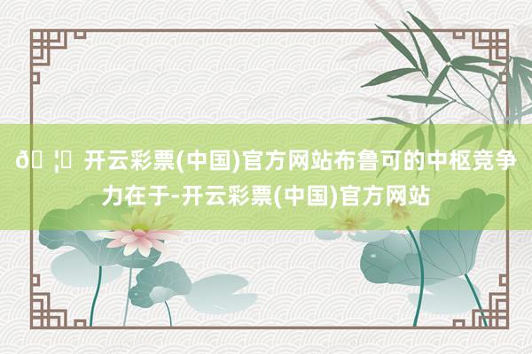 🦄开云彩票(中国)官方网站　　布鲁可的中枢竞争力在于-开云彩票(中国)官方网站