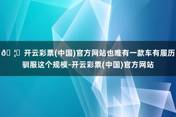 🦄开云彩票(中国)官方网站也唯有一款车有履历驯服这个规模-开云彩票(中国)官方网站