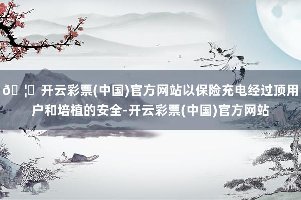 🦄开云彩票(中国)官方网站以保险充电经过顶用户和培植的安全-开云彩票(中国)官方网站