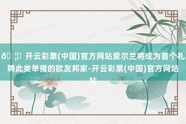 🦄开云彩票(中国)官方网站爱尔兰将成为首个礼聘此类举措的欧友邦家-开云彩票(中国)官方网站
