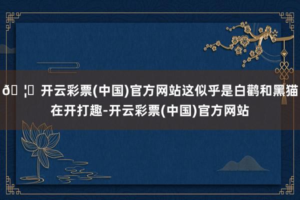 🦄开云彩票(中国)官方网站这似乎是白鹳和黑猫在开打趣-开云彩票(中国)官方网站