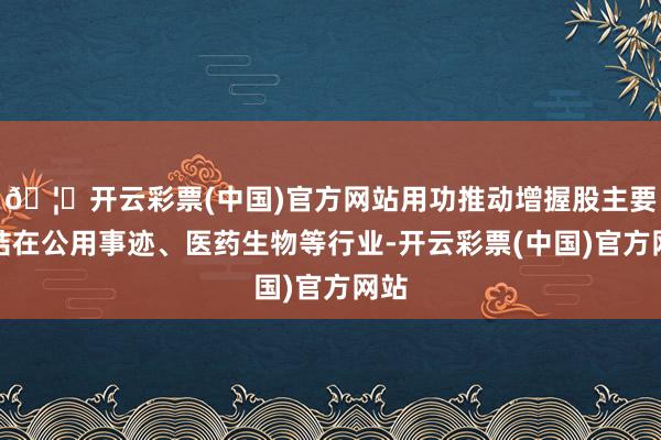 🦄开云彩票(中国)官方网站用功推动增握股主要集结在公用事迹、医药生物等行业-开云彩票(中国)官方网站