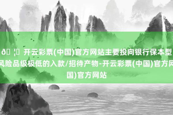 🦄开云彩票(中国)官方网站主要投向银行保本型及风险品级极低的入款/招待产物-开云彩票(中国)官方网站