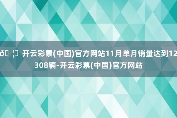 🦄开云彩票(中国)官方网站11月单月销量达到12308辆-开云彩票(中国)官方网站