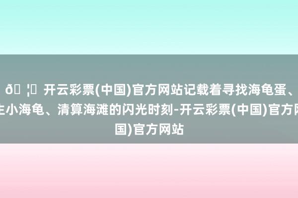 🦄开云彩票(中国)官方网站记载着寻找海龟蛋、放生小海龟、清算海滩的闪光时刻-开云彩票(中国)官方网站