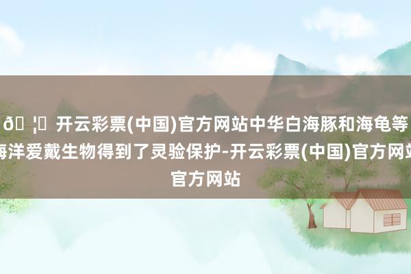 🦄开云彩票(中国)官方网站中华白海豚和海龟等海洋爱戴生物得到了灵验保护-开云彩票(中国)官方网站