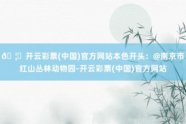 🦄开云彩票(中国)官方网站本色开头:@南京市红山丛林动物园-开云彩票(中国)官方网站