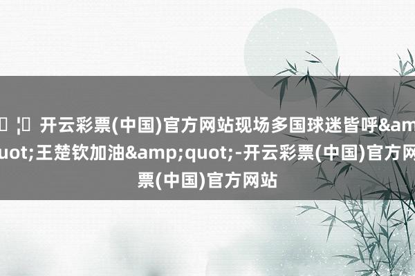 🦄开云彩票(中国)官方网站现场多国球迷皆呼&quot;王楚钦加油&quot;-开云彩票(中国)官方网站