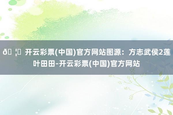 🦄开云彩票(中国)官方网站图源:方志武侯2莲叶田田-开云彩票(中国)官方网站