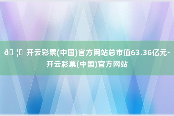 🦄开云彩票(中国)官方网站总市值63.36亿元-开云彩票(中国)官方网站