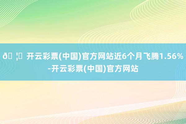 🦄开云彩票(中国)官方网站近6个月飞腾1.56%-开云彩票(中国)官方网站
