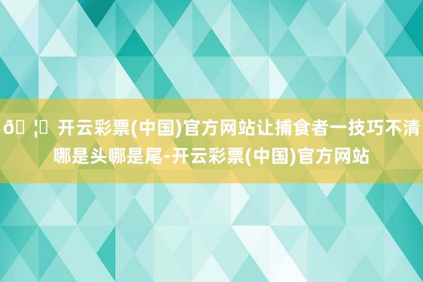 🦄开云彩票(中国)官方网站让捕食者一技巧不清哪是头哪是尾-开云彩票(中国)官方网站