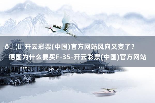 🦄开云彩票(中国)官方网站风向又变了？       德国为什么要买F-35-开云彩票(中国)官方网站
